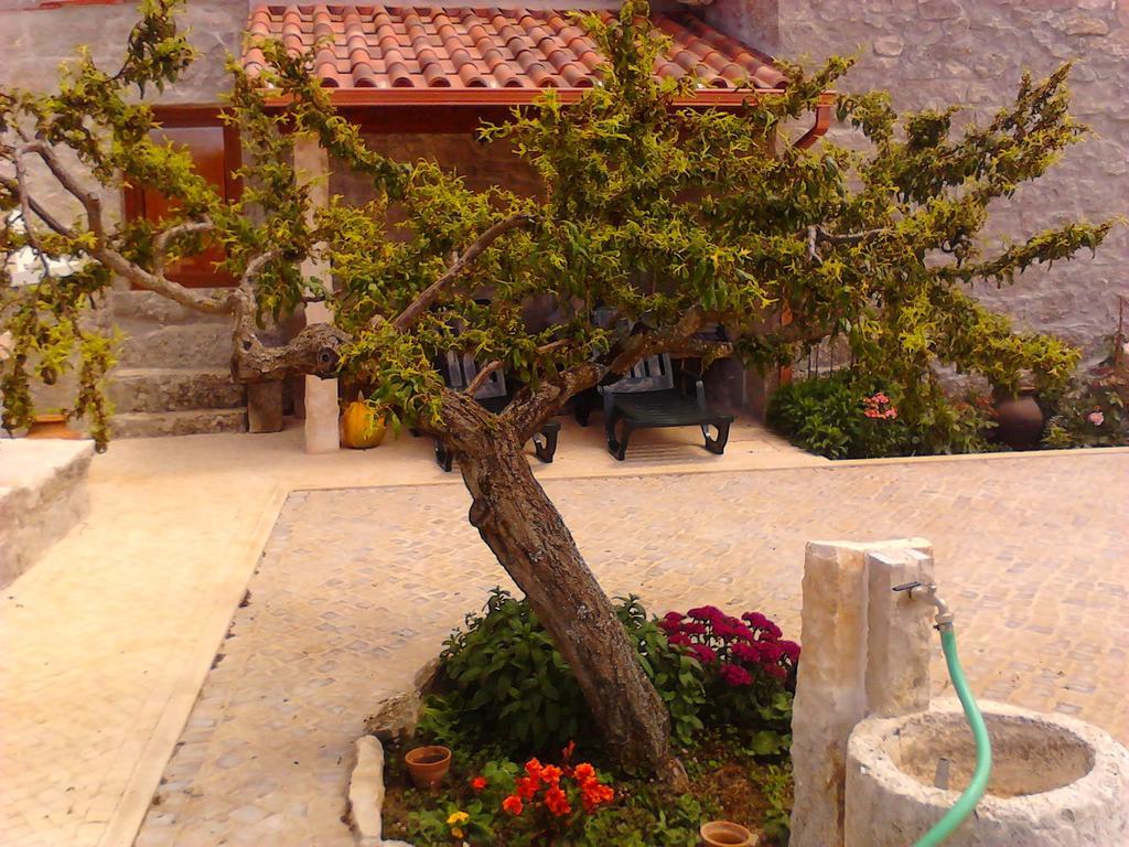Retiro Da Avo Lidia - Turismo Rural Mendiga エクステリア 写真