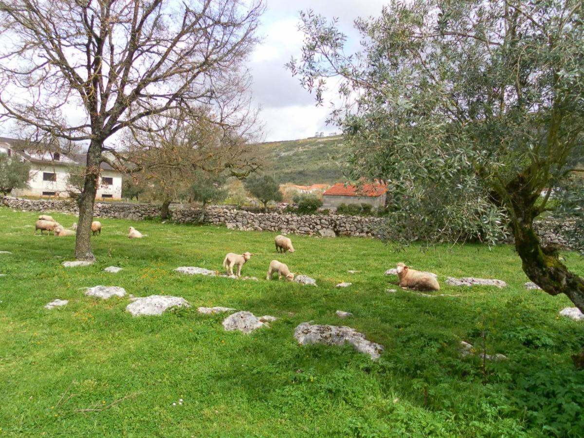 Retiro Da Avo Lidia - Turismo Rural Mendiga エクステリア 写真